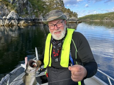 IMG_8356.jpeg IMG_8356.jpeg