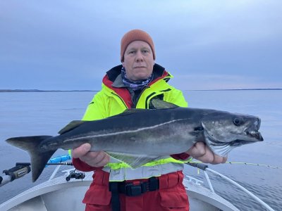 IMG_1058.jpeg IMG_1058.jpeg