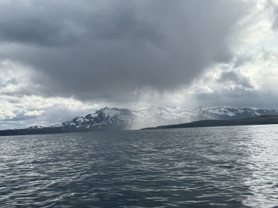 IMG_4890.jpeg