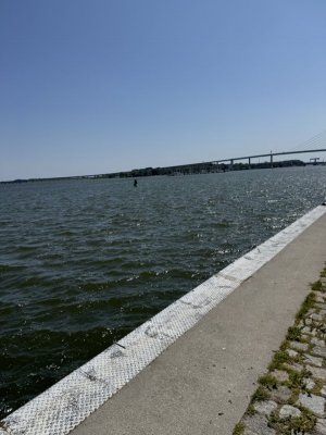 IMG_2359.jpeg