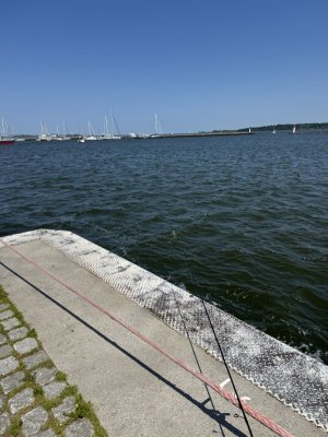 IMG_2358.jpeg