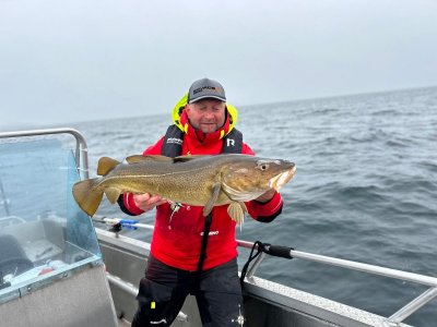 IMG-20250615-WA0031.jpg IMG-20250615-WA0031.jpg