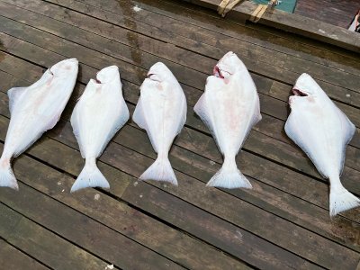 IMG-20250615-WA0011.jpg IMG-20250615-WA0011.jpg