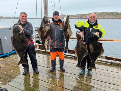 IMG-20250615-WA0014.jpg IMG-20250615-WA0014.jpg