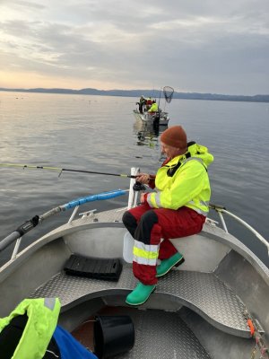 IMG_1179.jpeg IMG_1179.jpeg