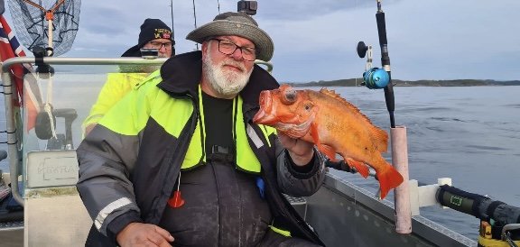 IMG_1110.jpeg IMG_1110.jpeg