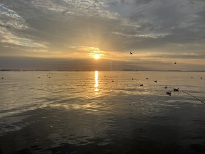 IMG_1187.jpeg IMG_1187.jpeg