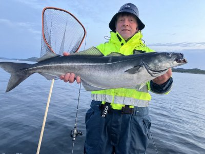 IMG_1163.jpeg IMG_1163.jpeg