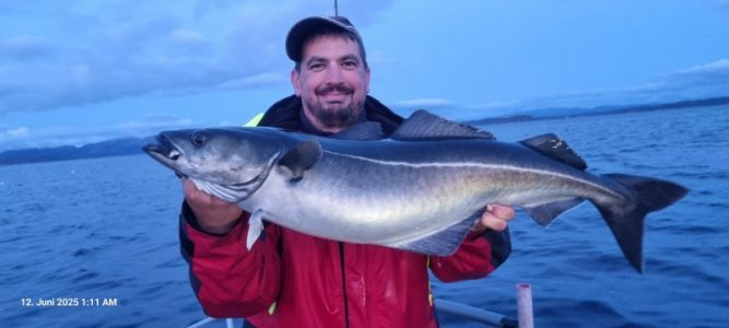 IMG-20250612-WA0005.jpg IMG-20250612-WA0005.jpg