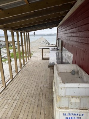 IMG_4995.jpeg IMG_4995.jpeg