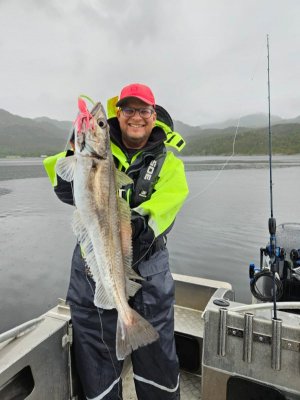 IMG-20250617-WA0003.jpg IMG-20250617-WA0003.jpg