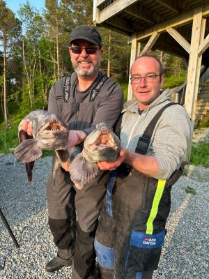 WhatsApp Bild 2025-06-12 um 15.54.14_42868377.jpg WhatsApp Bild 2025-06-12 um 15.54.14_42868377.jpg