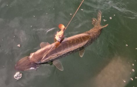 20250618_204134.jpg 20250618_204134.jpg