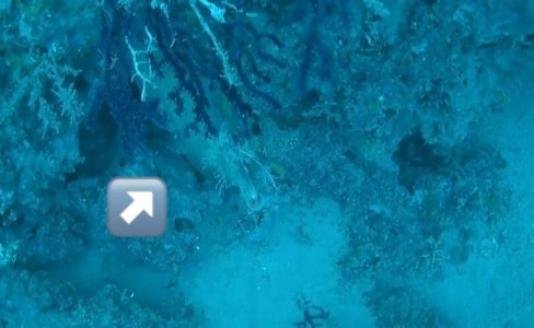 WhatsApp Image 2025-06-20 at 11.56.05.jpeg