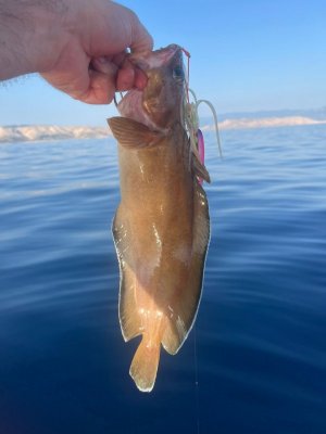 WhatsApp Image 2025-06-20 at 11.43.40.jpeg