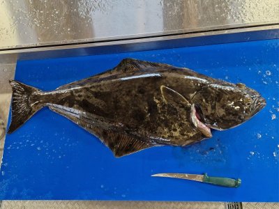 IMG-20250622-WA0037.jpg IMG-20250622-WA0037.jpg