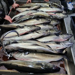 20250623_012729.jpg 20250623_012729.jpg