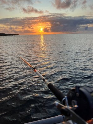 e2eb6f1d-315b-434a-aeb1-0ff19582c9ed.jpeg e2eb6f1d-315b-434a-aeb1-0ff19582c9ed.jpeg