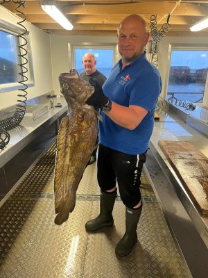 961f41df-f1a8-4050-9d67-6f566d9f5dd1.jpeg 961f41df-f1a8-4050-9d67-6f566d9f5dd1.jpeg