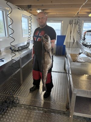 IMG_0565.jpeg IMG_0565.jpeg