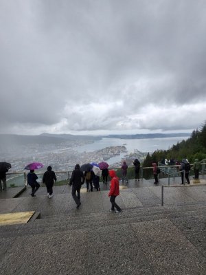 1000069040.jpg 1000069040.jpg