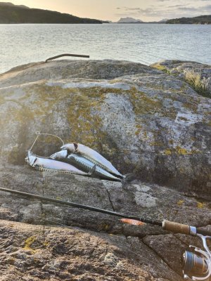 1000069105.jpg 1000069105.jpg