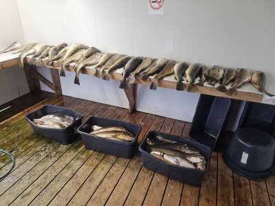 20250625_164302.jpg 20250625_164302.jpg