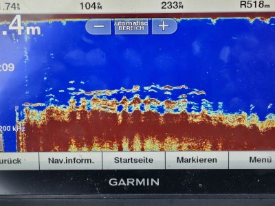 20250625_125110.jpg 20250625_125110.jpg