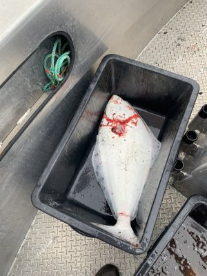 IMG_2318.jpeg