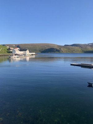 IMG_2334.jpeg