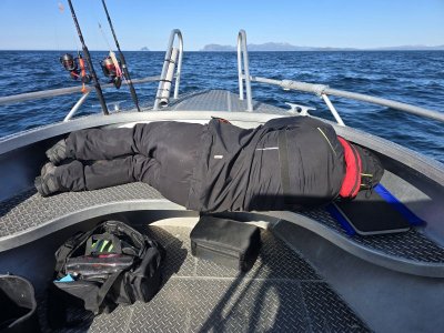 IMG-20250627-WA0013.jpg IMG-20250627-WA0013.jpg