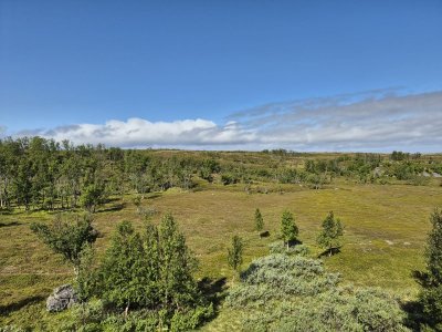 IMG-20250626-WA0015.jpg IMG-20250626-WA0015.jpg