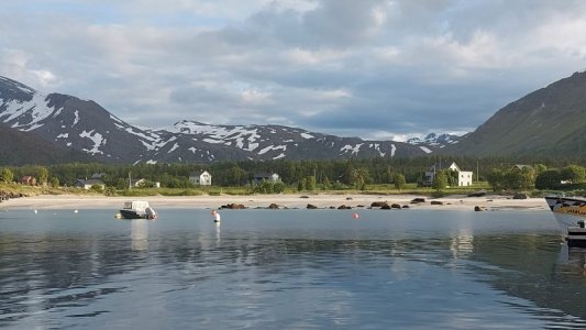 IMG-20250625-WA0020.jpg IMG-20250625-WA0020.jpg