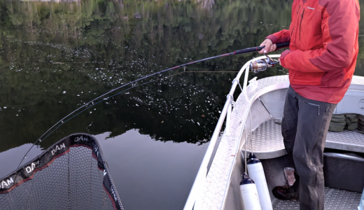 Screenshot 2025-06-28 at 14.11.38.png