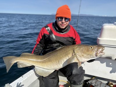 IMG_0902.jpeg IMG_0902.jpeg