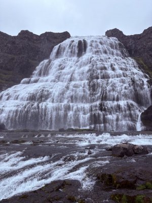 IMG_1125.jpeg IMG_1125.jpeg