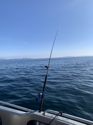 IMG_2413.jpeg