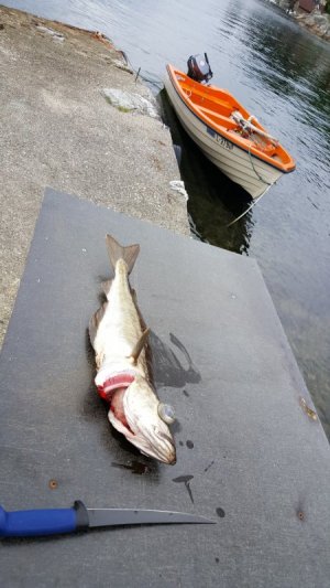 20160912_173823.jpg 20160912_173823.jpg