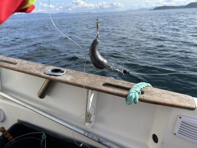 IMG_0495.jpeg IMG_0495.jpeg