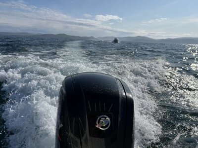 IMG_0498.jpeg IMG_0498.jpeg