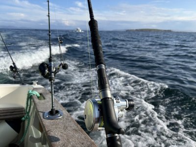 IMG_0500.jpeg IMG_0500.jpeg