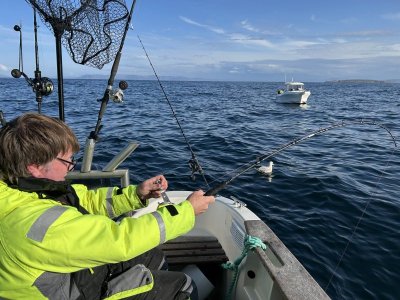 IMG_0507.jpeg IMG_0507.jpeg