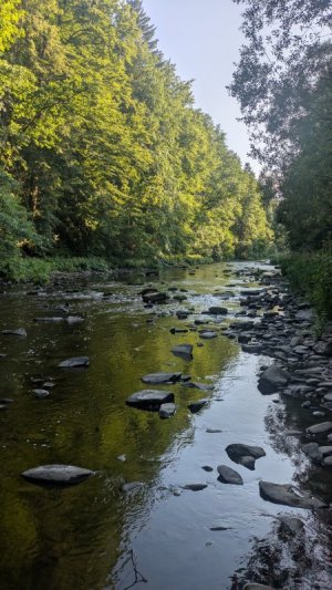 1000026183.jpg 1000026183.jpg