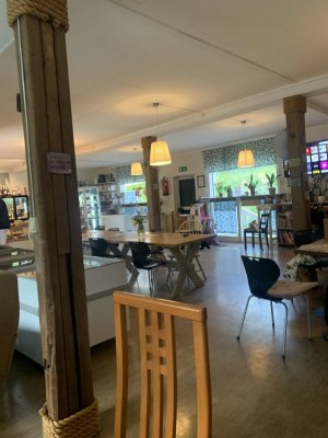 IMG_2478.jpeg