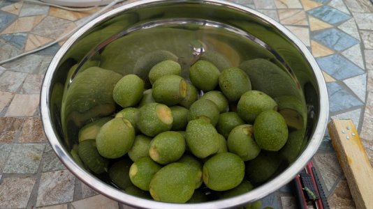 PXL_20250703_125724531.RAW-01.COVER.jpg PXL_20250703_125724531.RAW-01.COVER.jpg