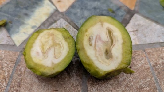 PXL_20250703_125613627.RAW-01.COVER.jpg PXL_20250703_125613627.RAW-01.COVER.jpg