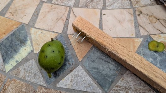 PXL_20250703_124404692.RAW-01.COVER.jpg PXL_20250703_124404692.RAW-01.COVER.jpg