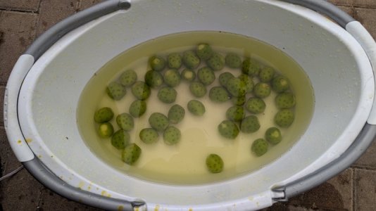 PXL_20250703_131123500.RAW-01.COVER.jpg PXL_20250703_131123500.RAW-01.COVER.jpg