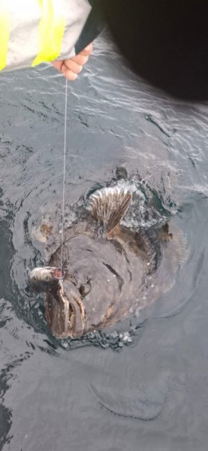 5c637b5d-4c1f-4905-8411-be58921976fe.jpeg 5c637b5d-4c1f-4905-8411-be58921976fe.jpeg