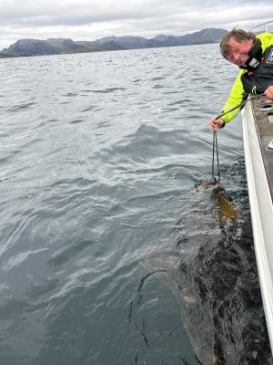 IMG_0805.jpeg IMG_0805.jpeg